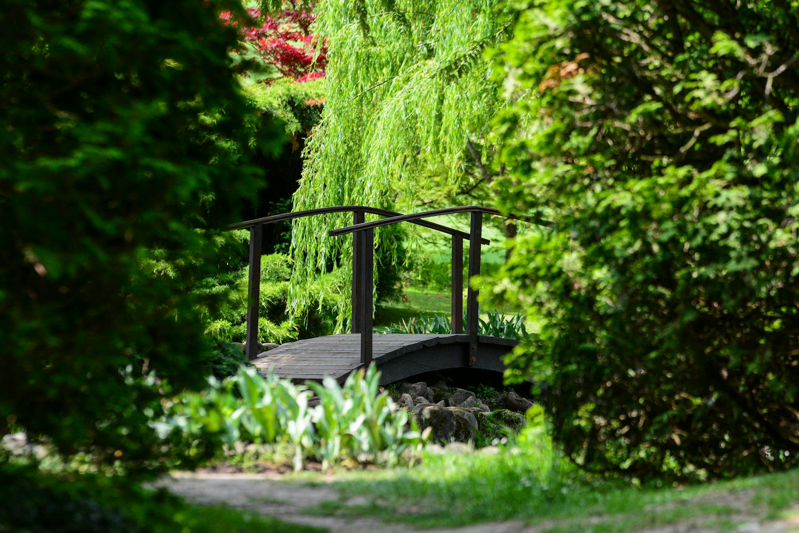 Parco Giardino Sigurtà の中心にある木製の橋