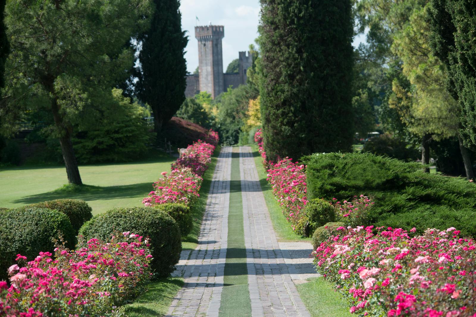 Kwitnąca aleja prowadząca do zamku w Parco Giardino Sigurtà
